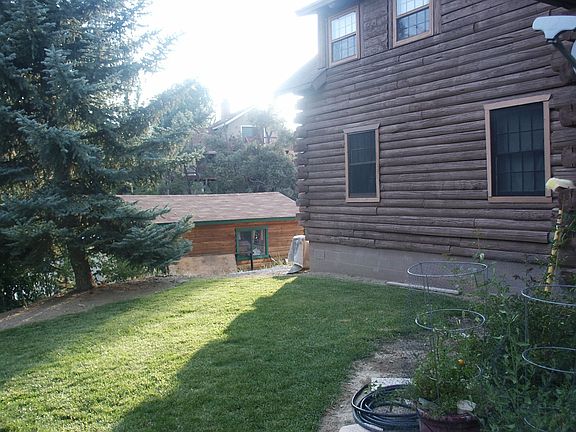 More of south side of yard and shop