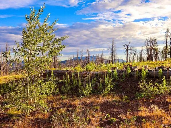2198 Sigler Drive, Fort Garland, CO 81133