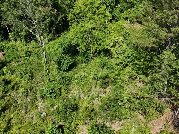 5 Lamontville Rd Lot 5, Decatur, TN 37322