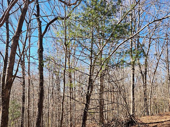 3rd image of 20 Devon Loop #20