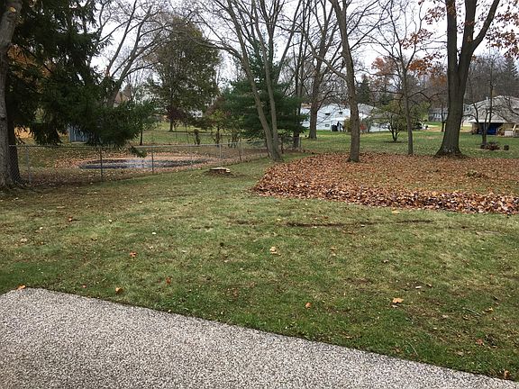 Huge Treed Back Yard Great for Kids and Pets