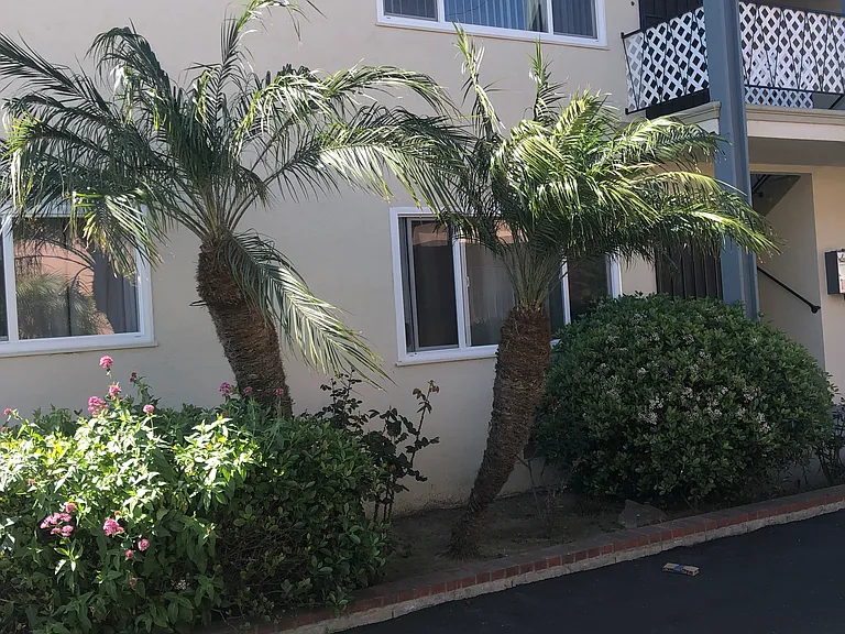 11828 Eucalyptus Ave #D — Photo 6