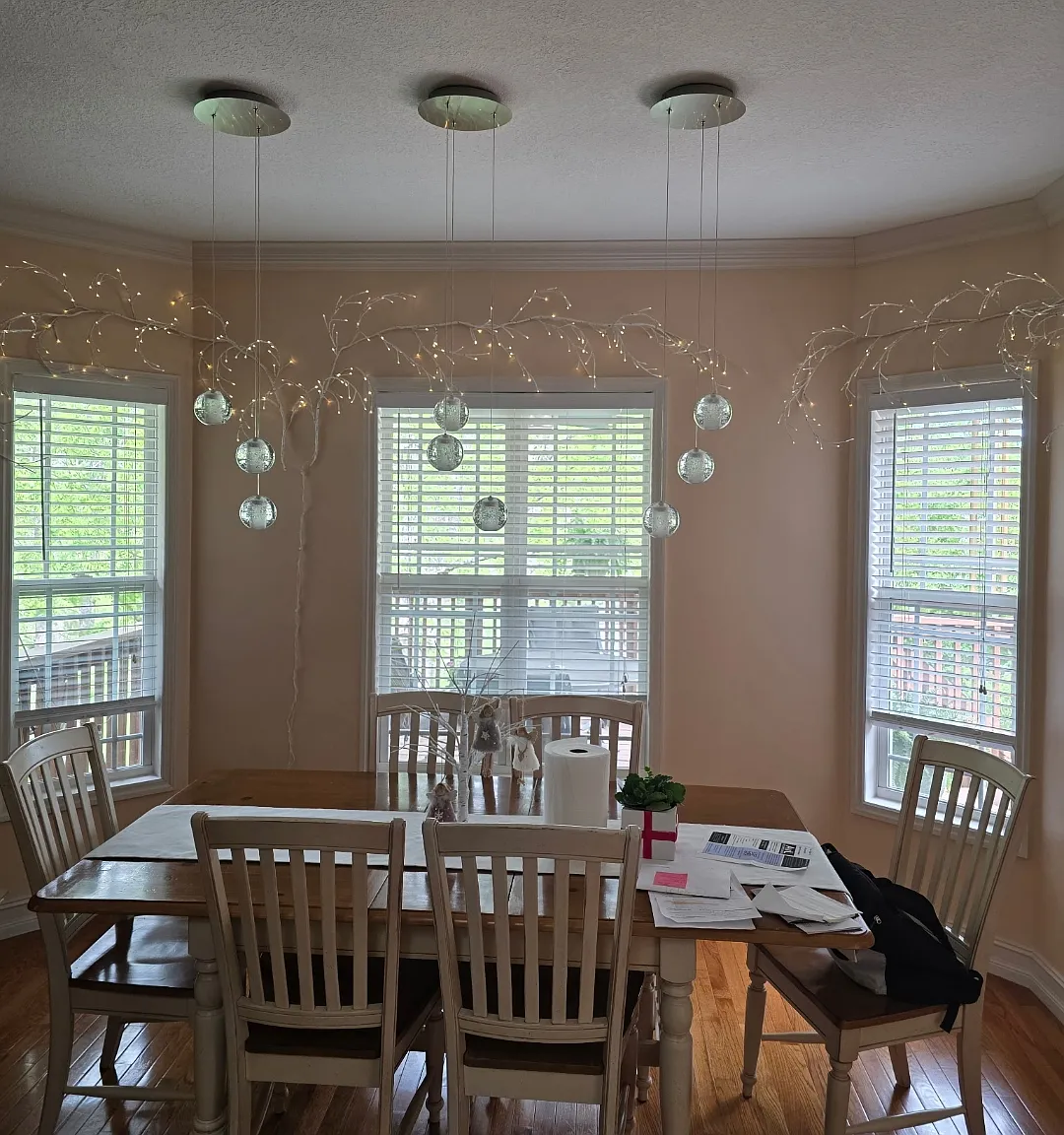 Rose Of Sharon Way, Candler — Photo 3