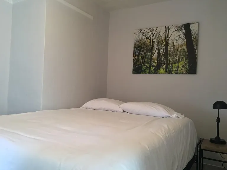 2446 Island Ave #2 — Photo 8