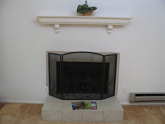Fire Place