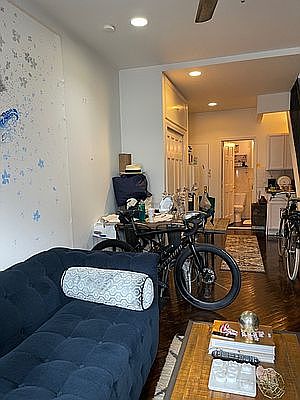 3rd image of 120 Orchard St APT 11