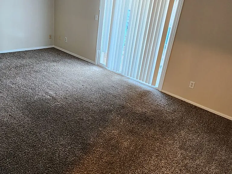 4000 Vickie Dr — Photo 10