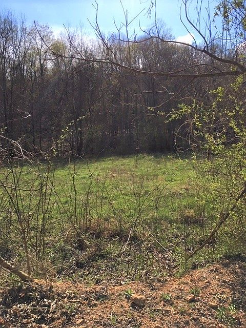 2nd image of 0 S Tatum Creek Rd Lot 1