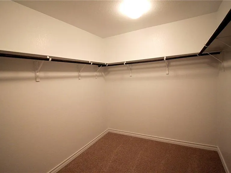 509 Whitney Trl — Photo 13