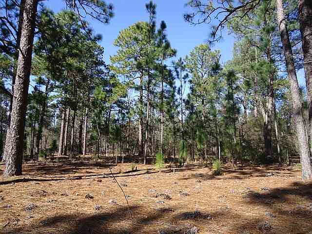 1st image of 55 Beaver Lane LOT PH 1