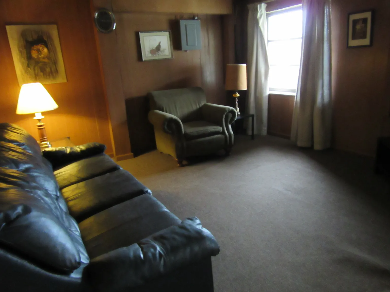 1 bed, $650 — Photo 3