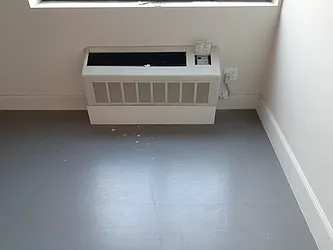 Rented by Reginald Jacobs