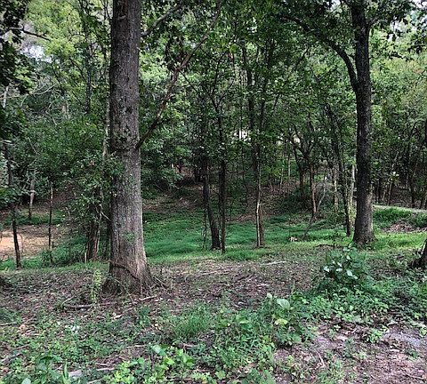 3rd image of 919 Edmondson Park