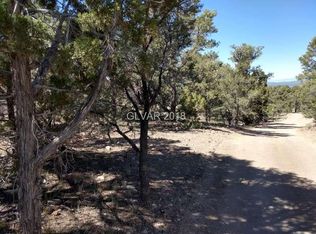 20475 Rice Rd, Pioche, NV 89043