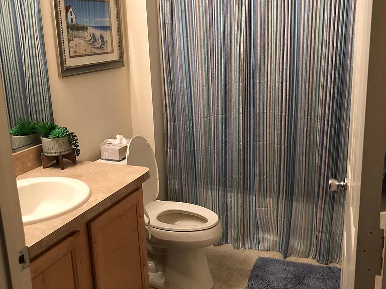 Hall bathroom