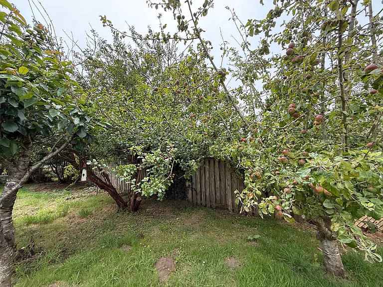 1075 Pacific Ave — Photo 17