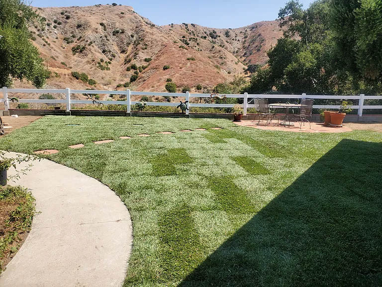 Backyard