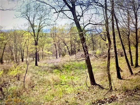 LOT 10 Eagles Nest S Talon Dr, Cookson, OK 74427