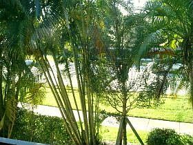 5th image of 16324 Malibu Dr