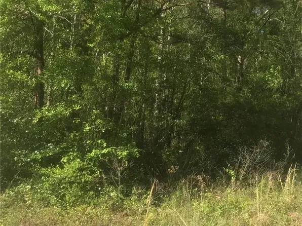 Clyde Parker Rd, Ragley, LA 70657