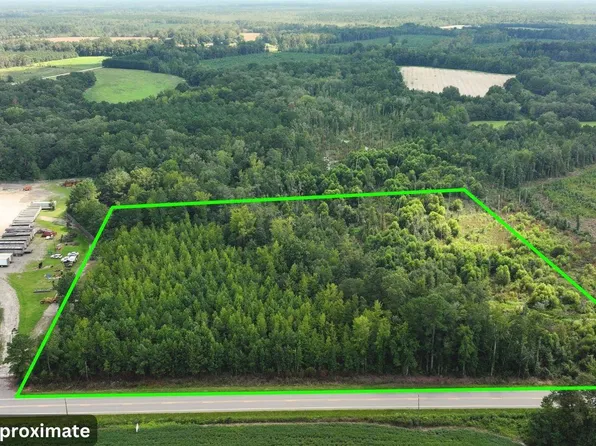 0 Highway 521 #Tract 2, Greeleyville, SC 29056