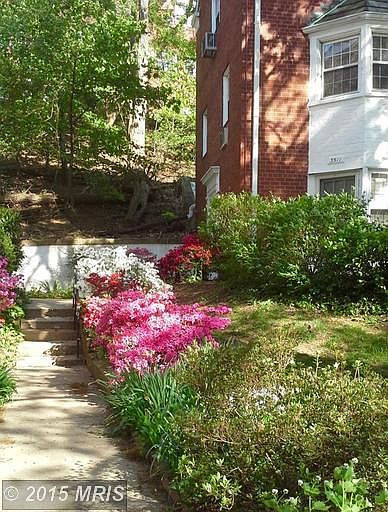 1st image of 3511 Valley Dr #3511