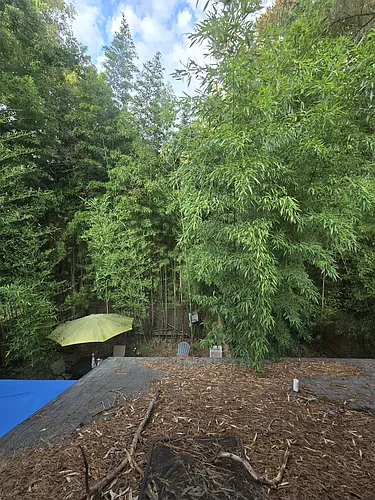 260 Fleming Rd #D Photo 1