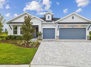 31572 Hayman Loop, Wesley Chapel, FL 33545