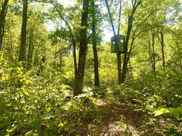 25AC Velvet St, Sandstone, MN 55072