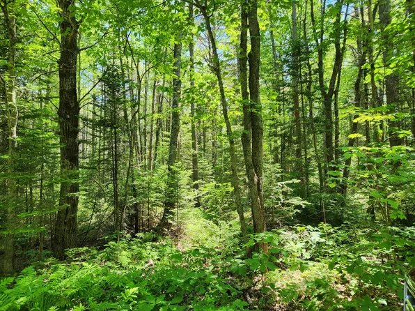 Lot 1 Atkins Road, Jefferson, ME 04348
