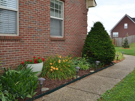 5th image of 146 Harvest Ln