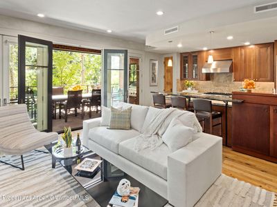 101 Spring St #202, Aspen, CO, 81611