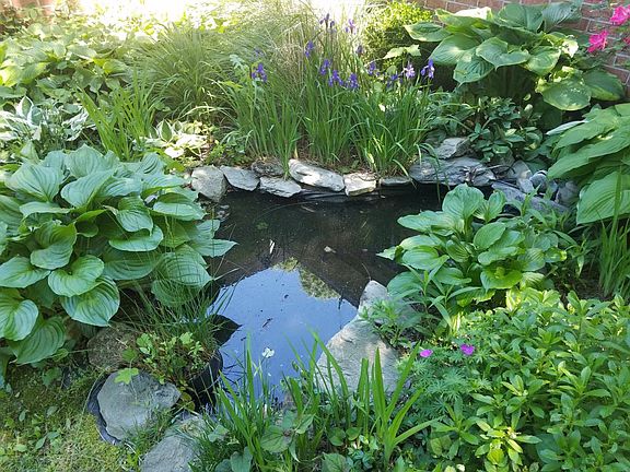Pond in the front