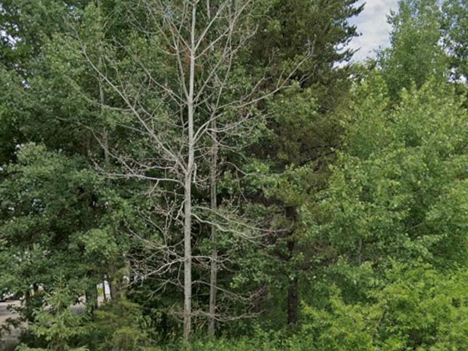 2nd image of 15 Pine St
