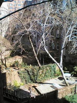 Rented by City Connections Realty | media 14