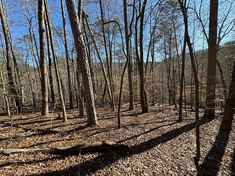 9770 Big Creek Rd, Ellijay, GA 30536 Zillow