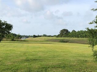 8228 Brekke Ln, Hitchcock, TX 77563