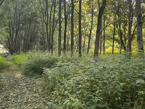 2nd image of 0 Old Highway 30