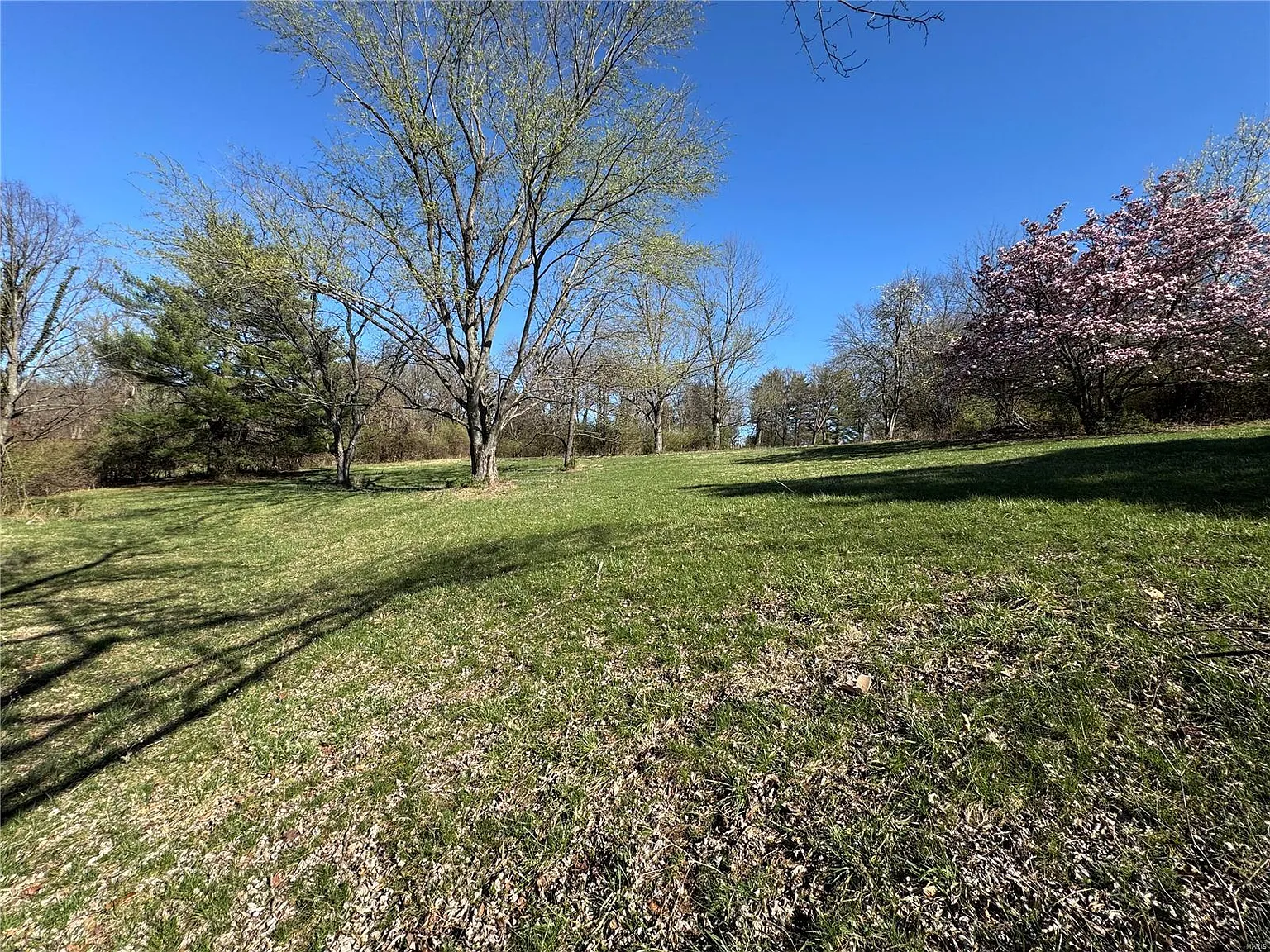10541 Mentz Hill Acres Dr photo 1
