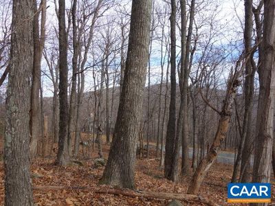 91 Shamokin Springs Trl, Roseland, VA, 22967
