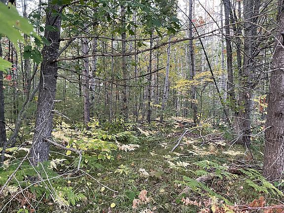4th image of V/l 199ac Poplar Dr