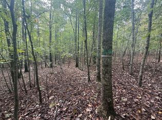 Westpoint Stevens Rd #10, Drakes Branch, VA 23937