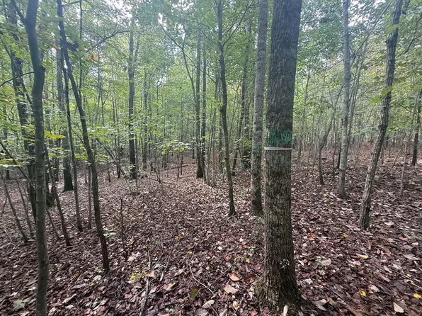 Westpoint Stevens Rd #10, Drakes Branch, VA 23937