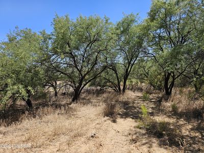 15805 N Twin Lakes Dr, Tucson, AZ, 85739