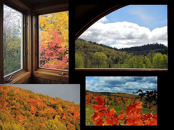  360-degree window views