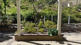 15 Elderberry — Photo 111