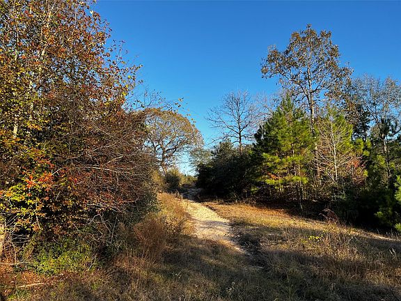 5th image of 231 County Road 2190
