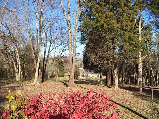 1st image of 126 Hillcrest Dr