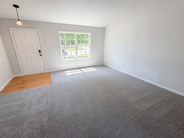 10710 Sedgegrass Dr — Photo 4