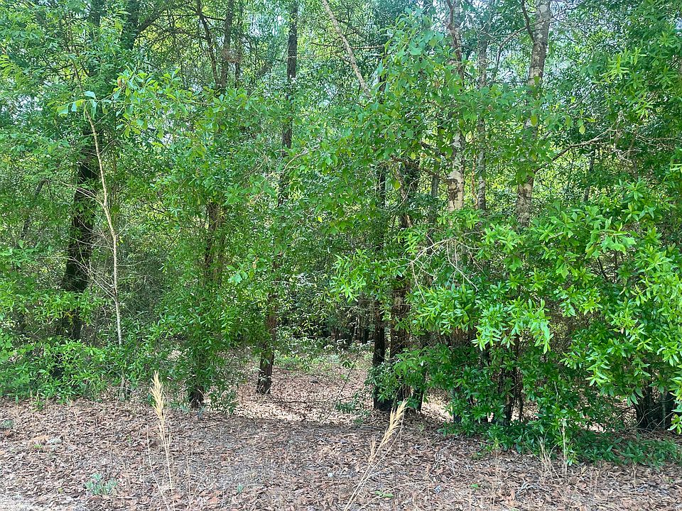 1st image of 11 Warbonnet Rd